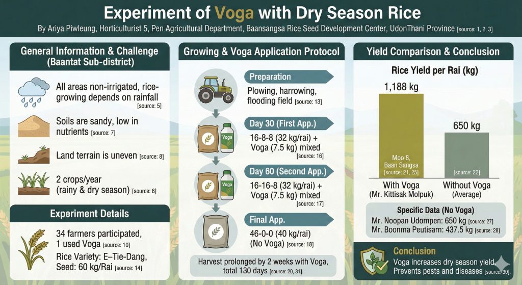 Experiment of Voga Silicon Minerals in Rice Paddy