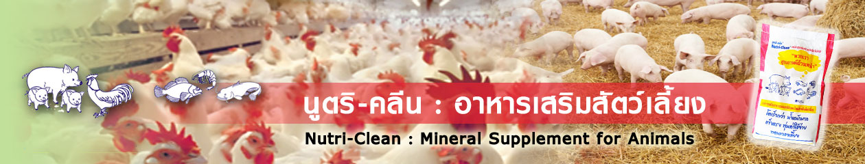 NutriClean อาหารเสริมสัตว์เลี้ยง