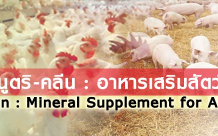 Nutri Clean : mineral supplement