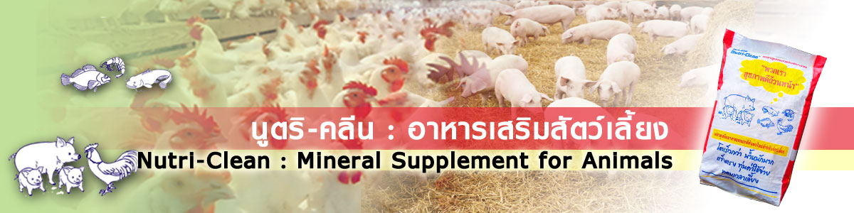 NutriClean แร่ซิลิคอนเสริมอาหารสัตว์