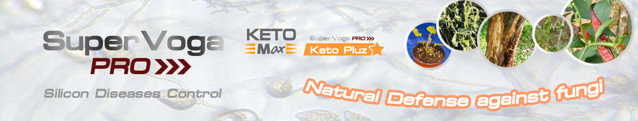 SuperVogaPro KetoPluz KetoMax กำจัดเชื้อราในพืช