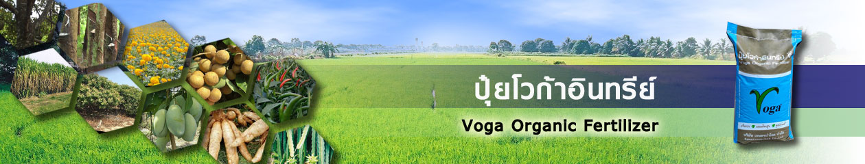 ปุ๋ยโวก้าอินทรีย์ Voga Organic silicon fertilizer