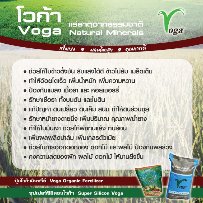 ปุ๋ยโวก้าอินทรีย์ สารซิลิคอนโวก้า