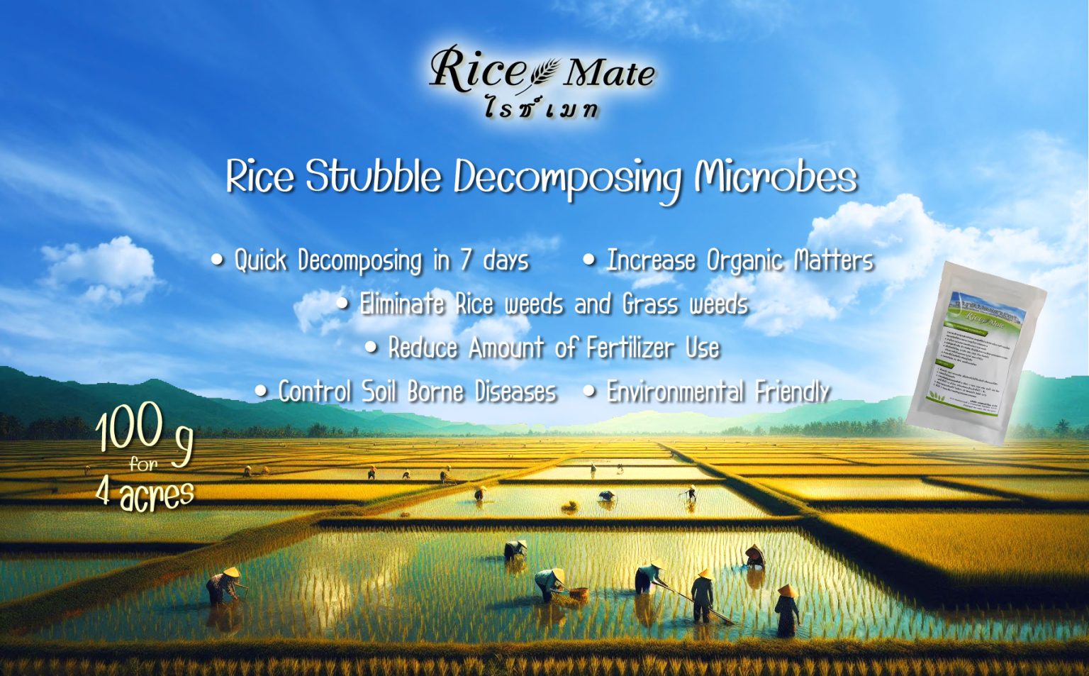Rice Mate: Rice Stubble Decomposer – Kasetnumchok
