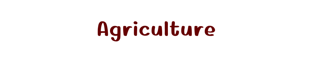 Agricultural Products