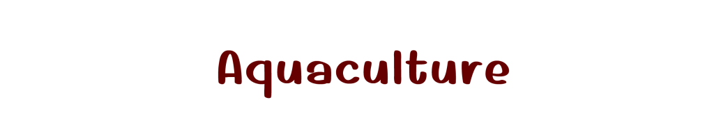 Aqua cultural Products