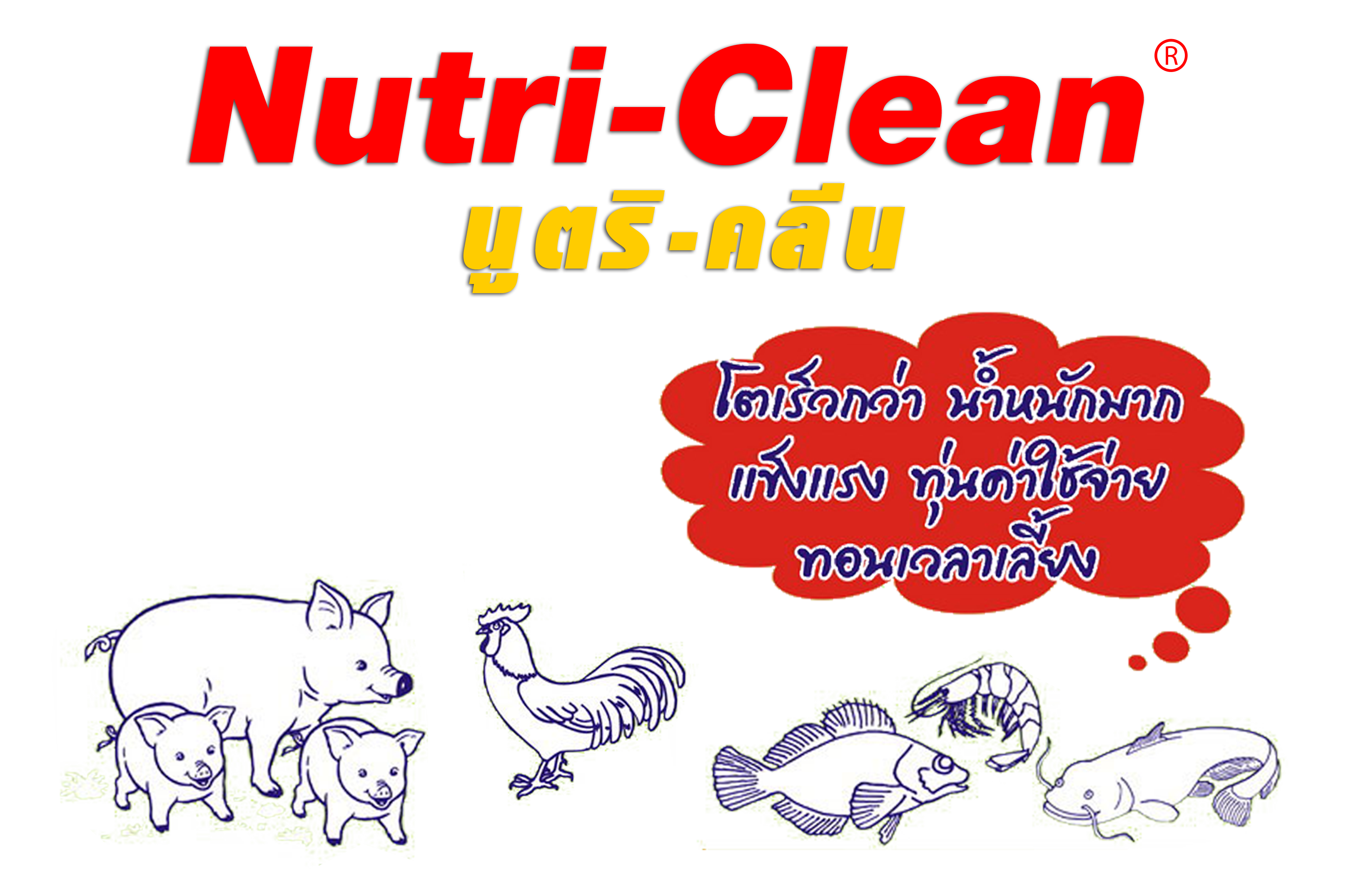 นูตริคลีน-อาหารเสริมสัตว์เลี้ยง